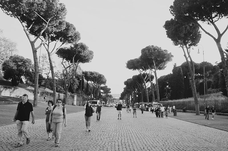 ROMA Atmosphere by Corina Margarit (154)
